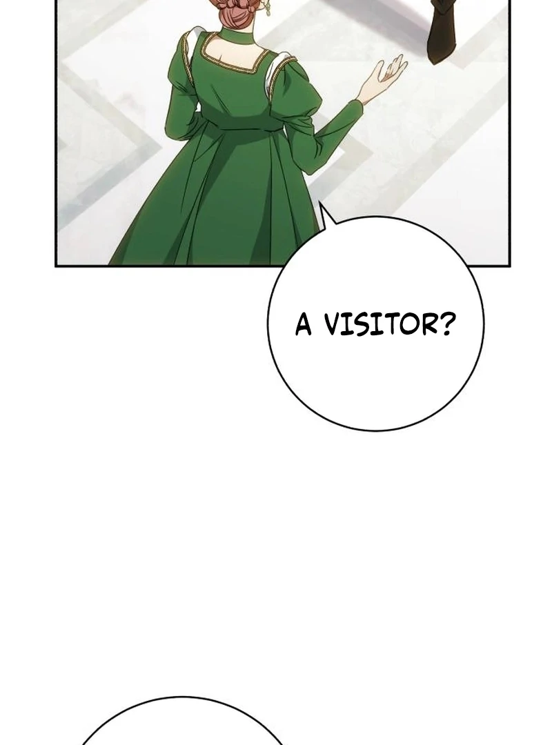 My Husband Was Stolen Twice Chapter 28 401 028