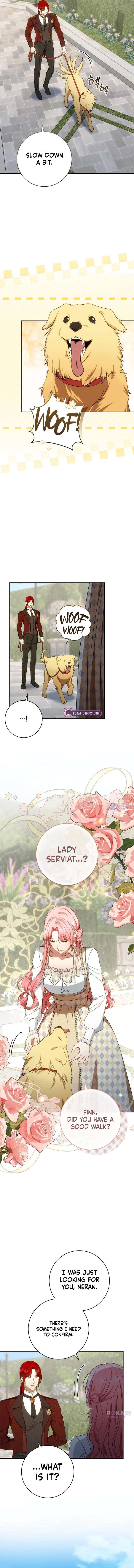 ch 42 11