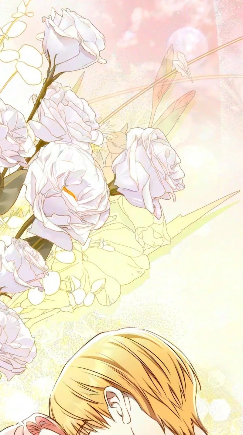 ab80480b6b83