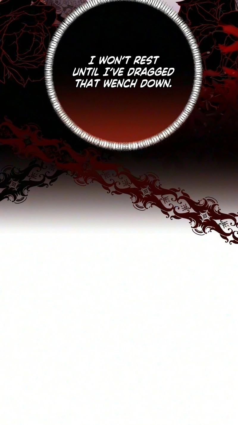 ae1a8e997ffd