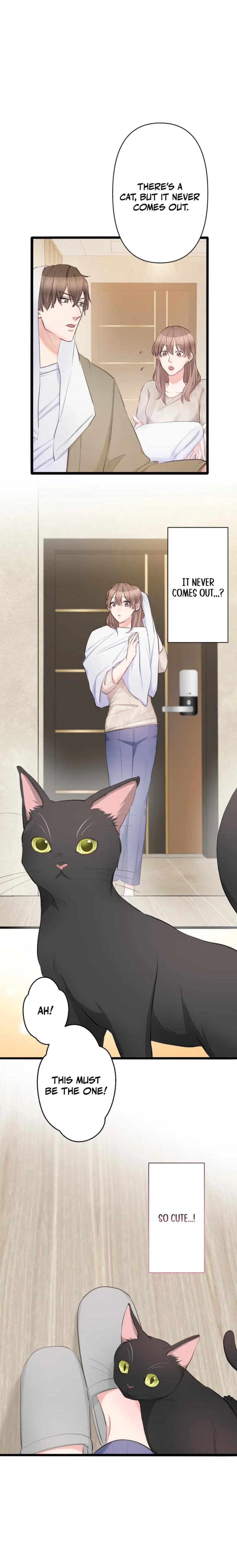 My Boss, the Ideal Man, Dotes on Me Chapter 2 84 ch 2 8