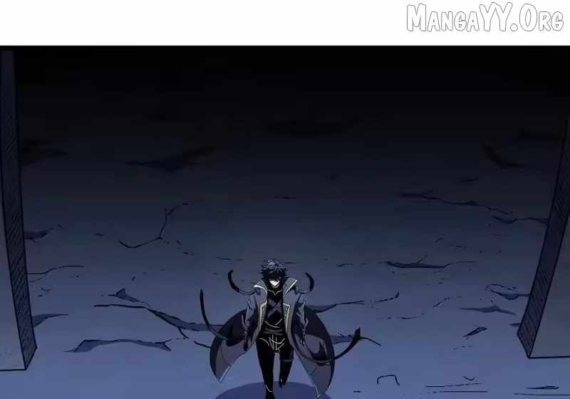 81