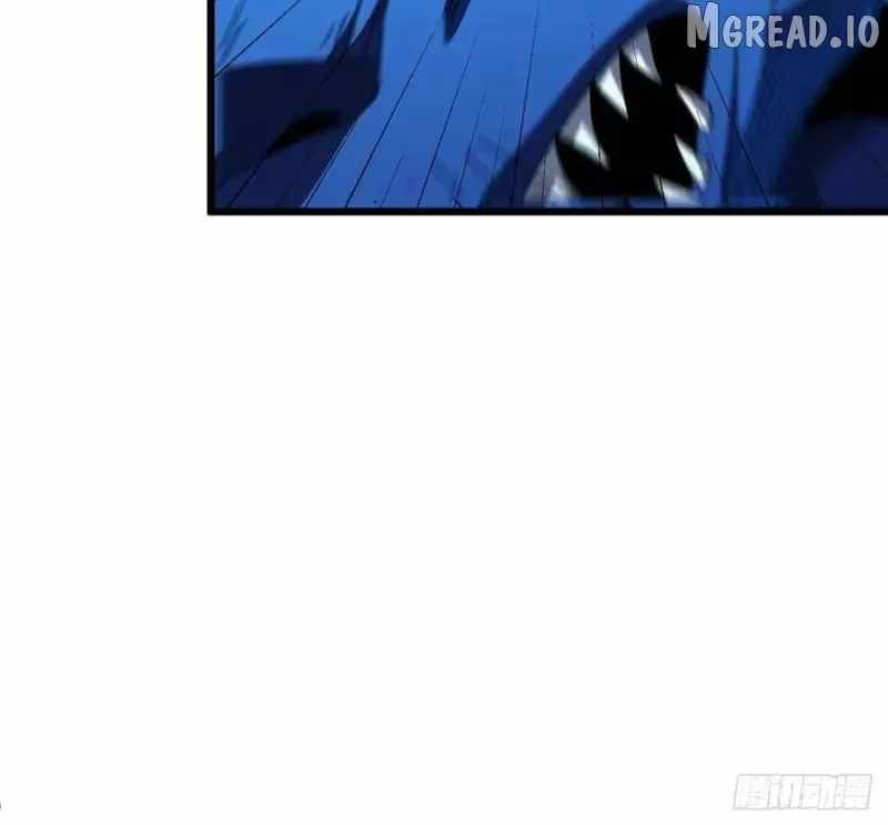 81
