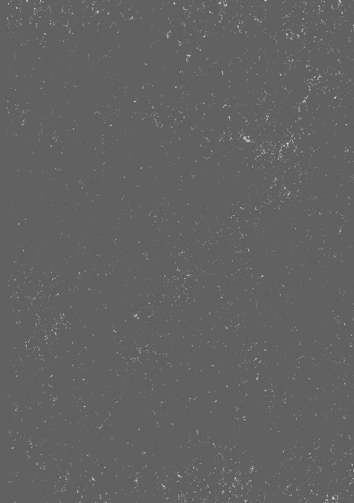 Another World Survival: Min-maxing my Support and Summoning Magic Chapter 19 110 26