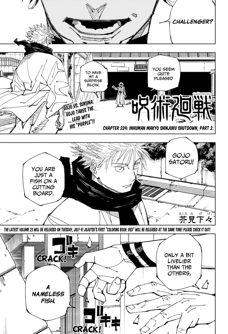 jujutsu kaisen 224 1