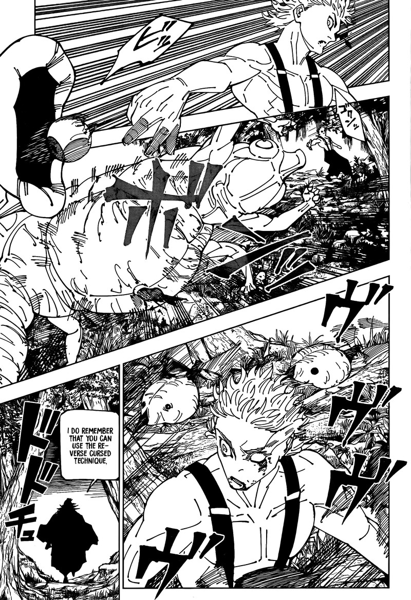 jujutsu kaisen 239 13
