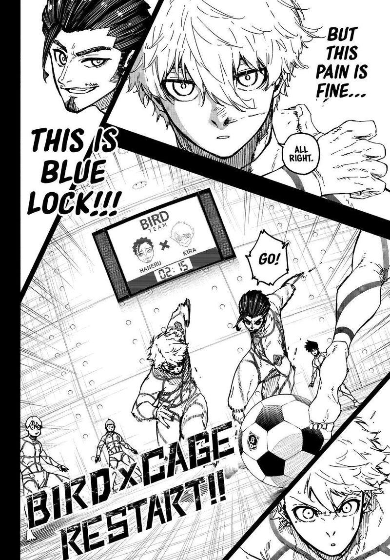 blue lock 348 12