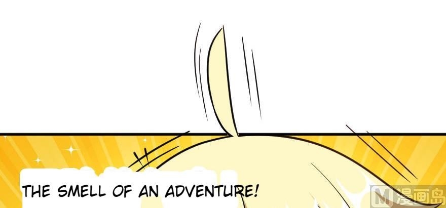 66