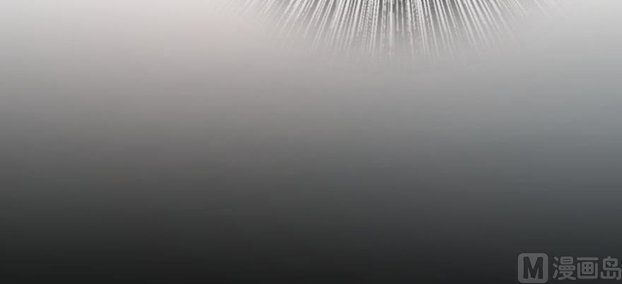 81
