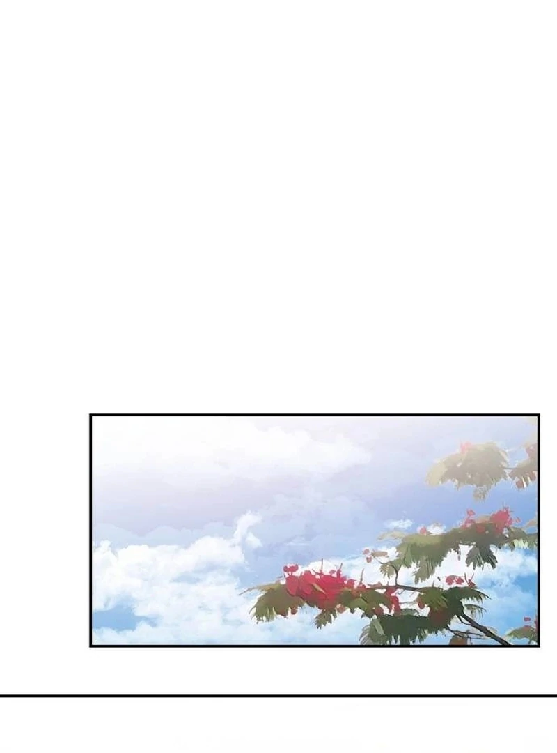 ch 11 74