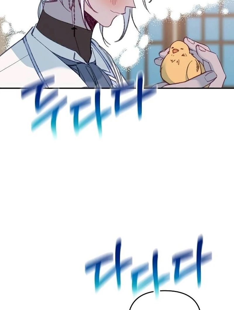 ch 11 77