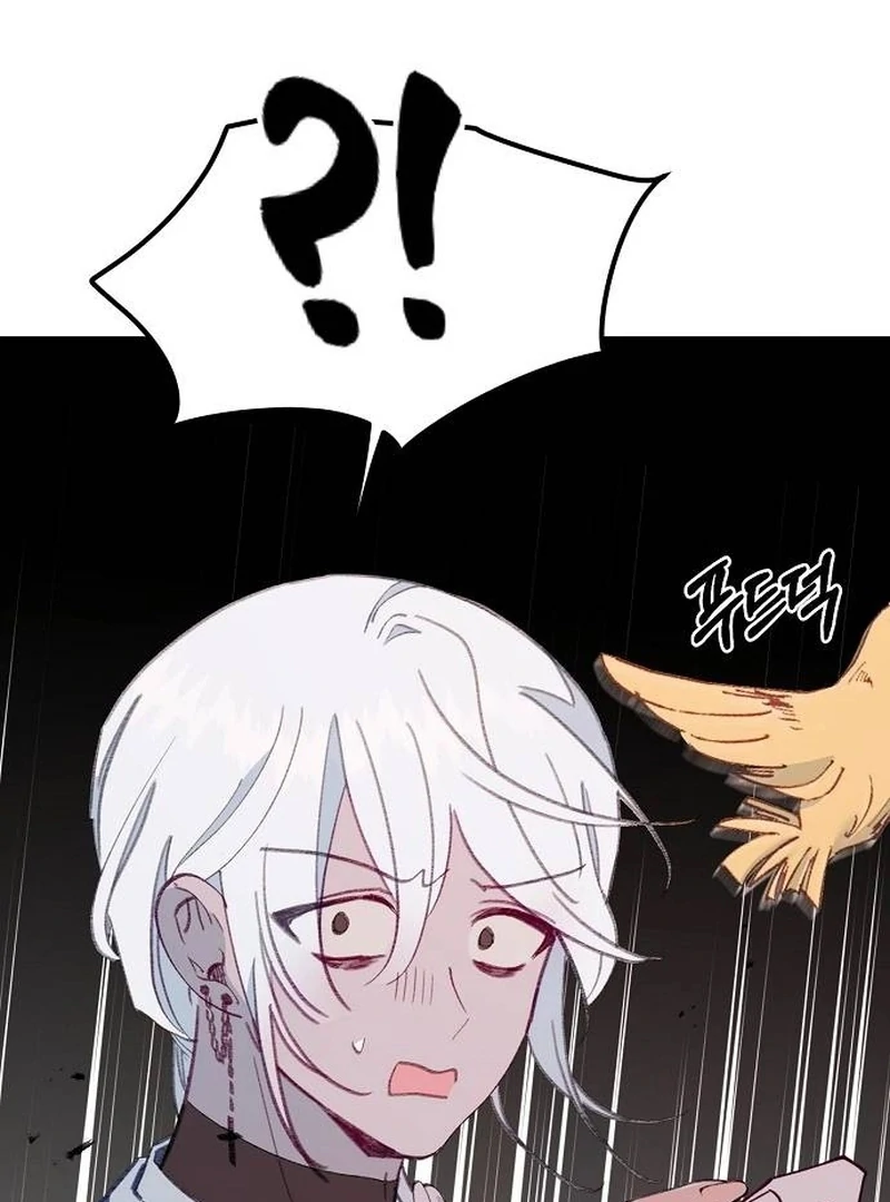 ch 11 81