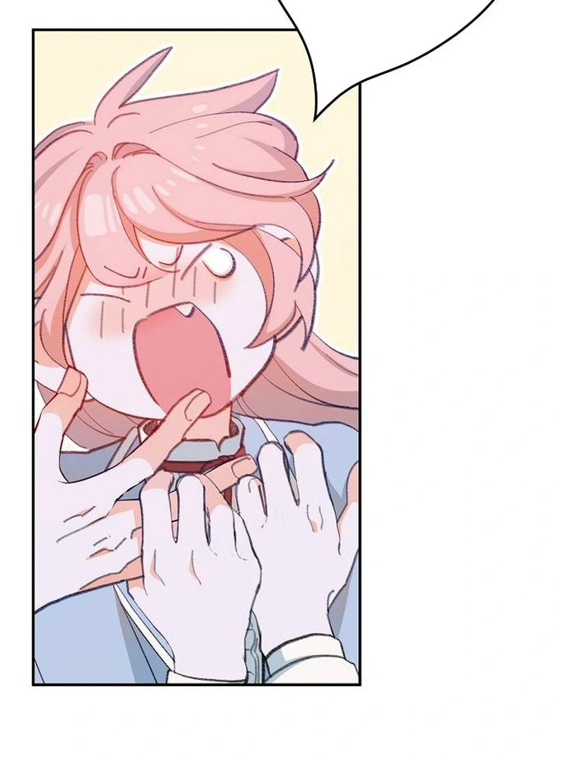 ch 2 19