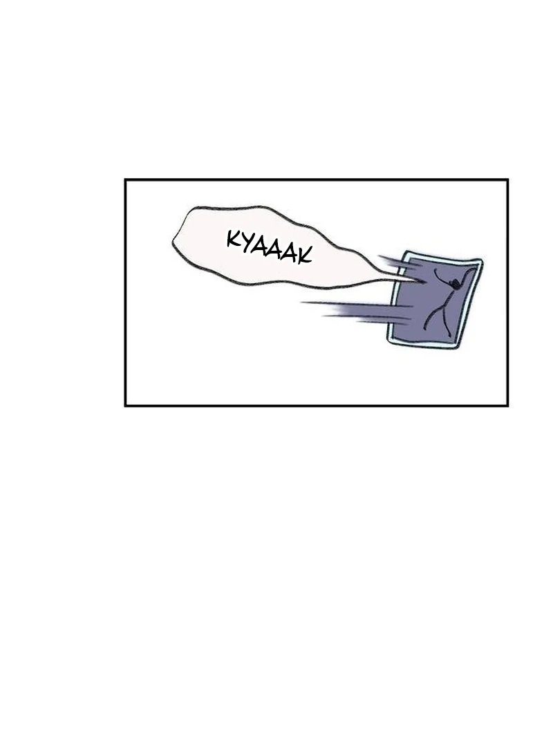 ch 4 71
