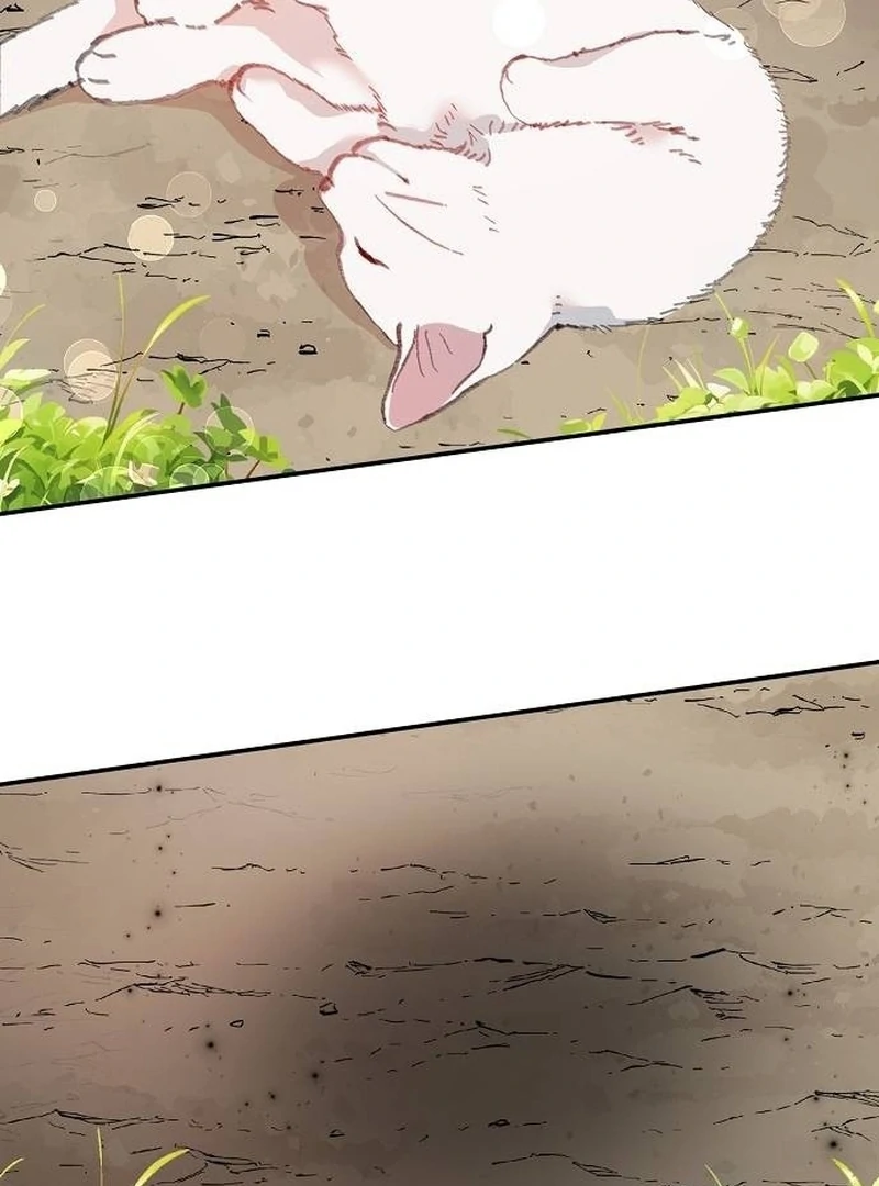 ch 9 91