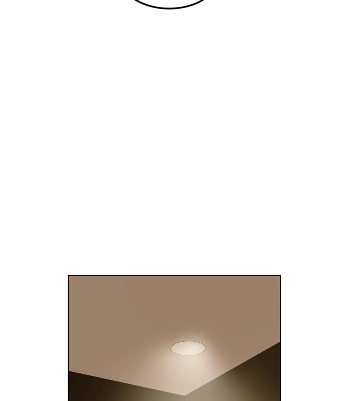 02cc24731e77