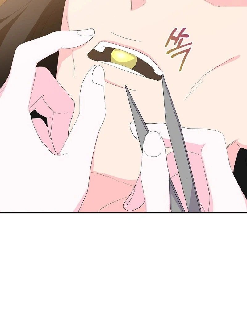 The Time-Limited Villainess Who Makes Medicine Chapter 30 467 097