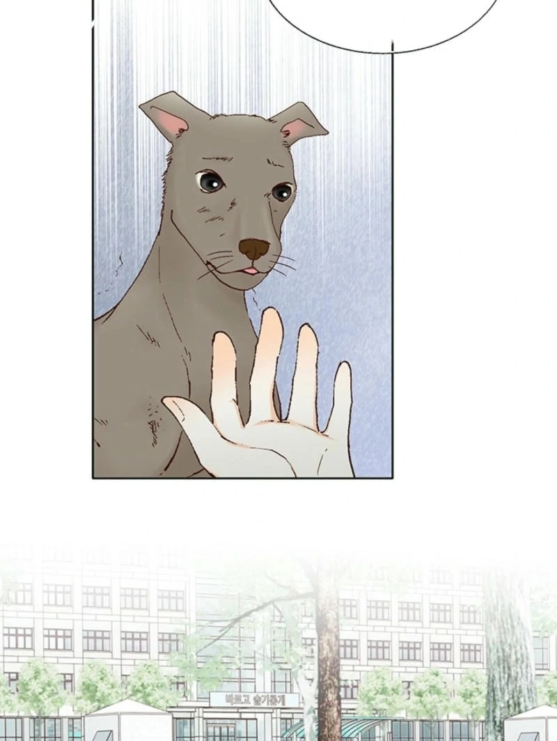 ch 1 8
