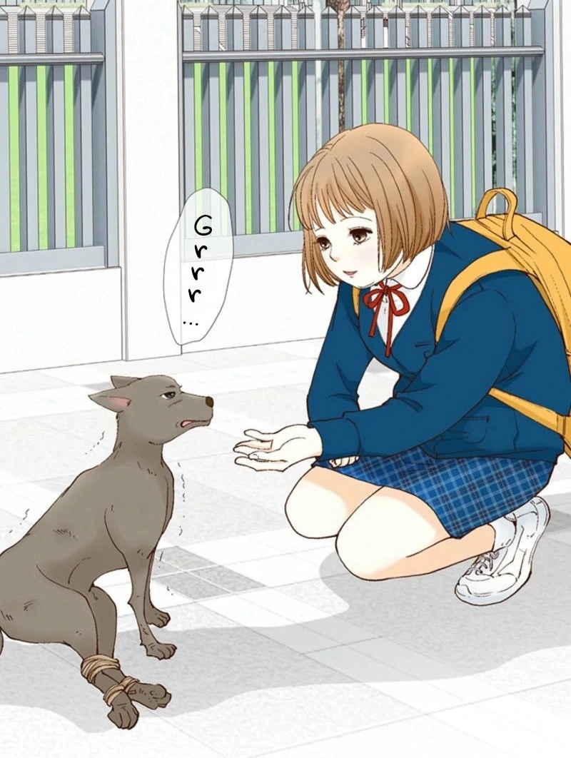 ch 1 9