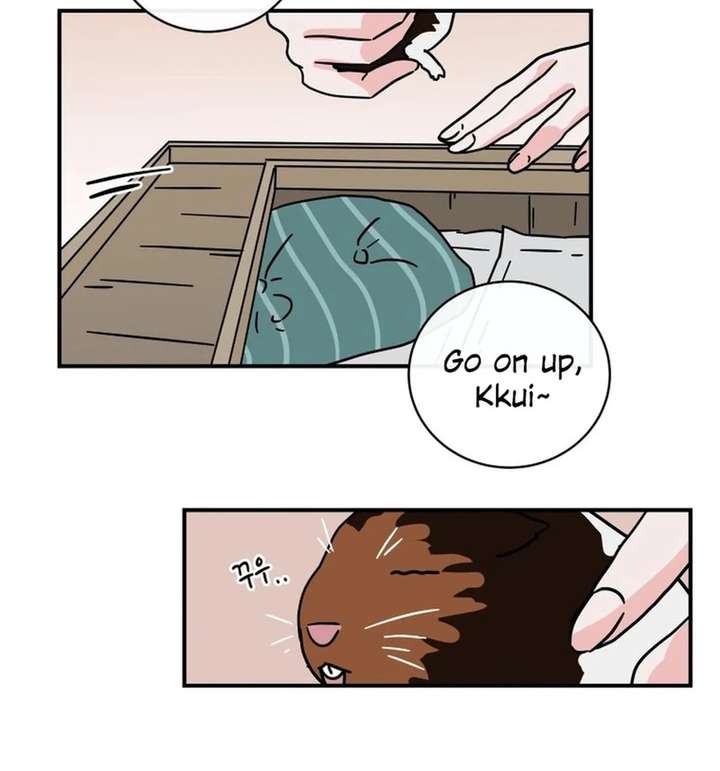 ch 38 13