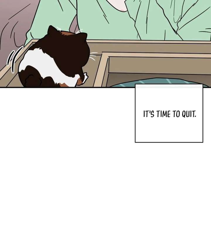 ch 38 15