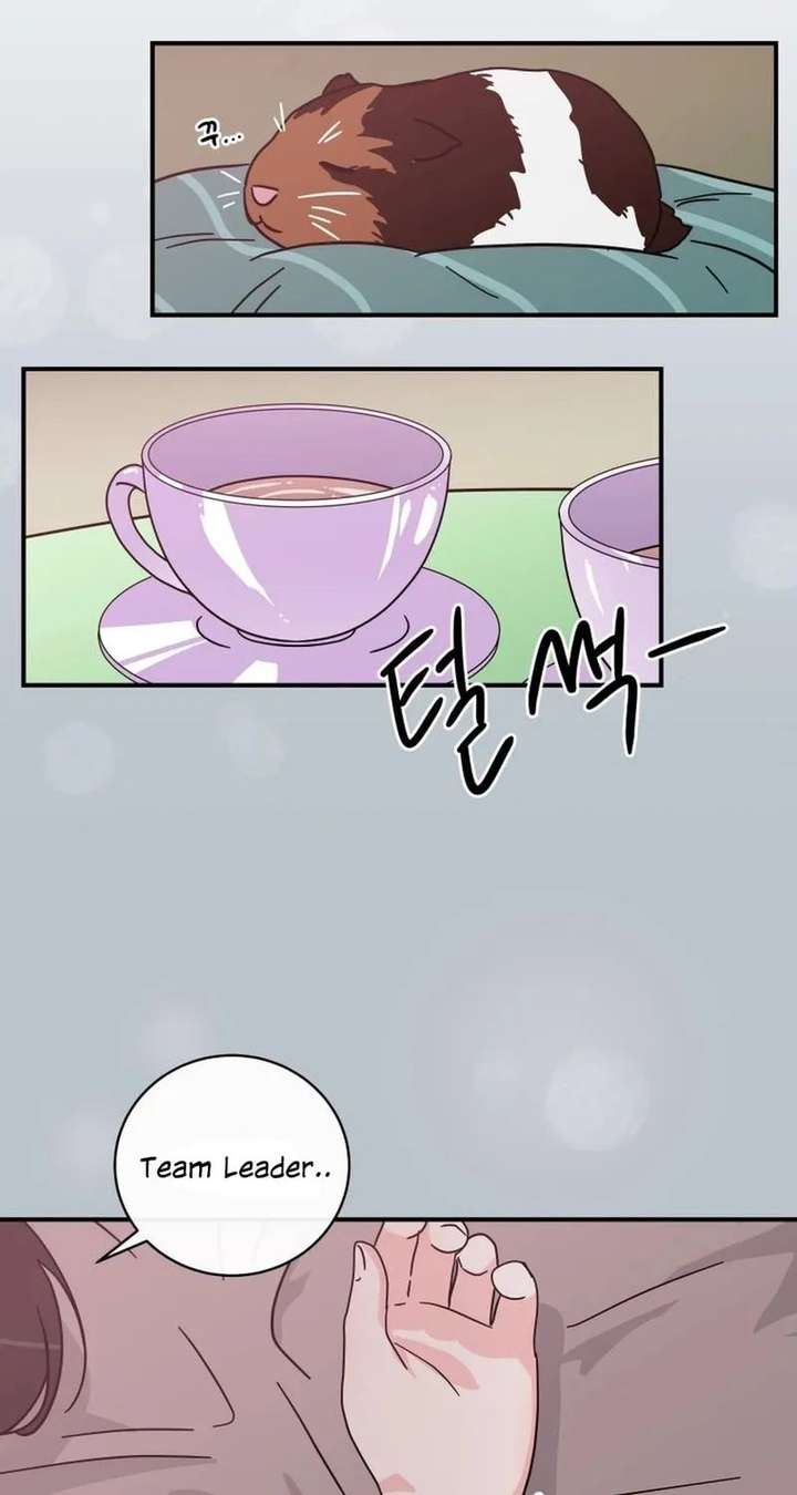 ch 38 28