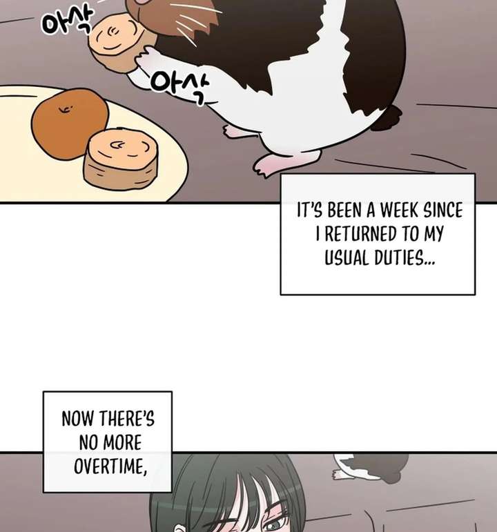 ch 38 4