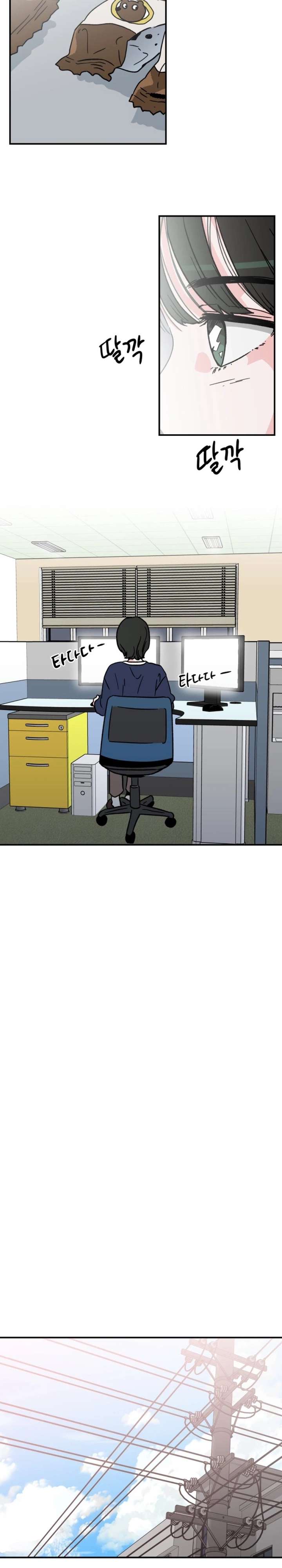 ch 41 16