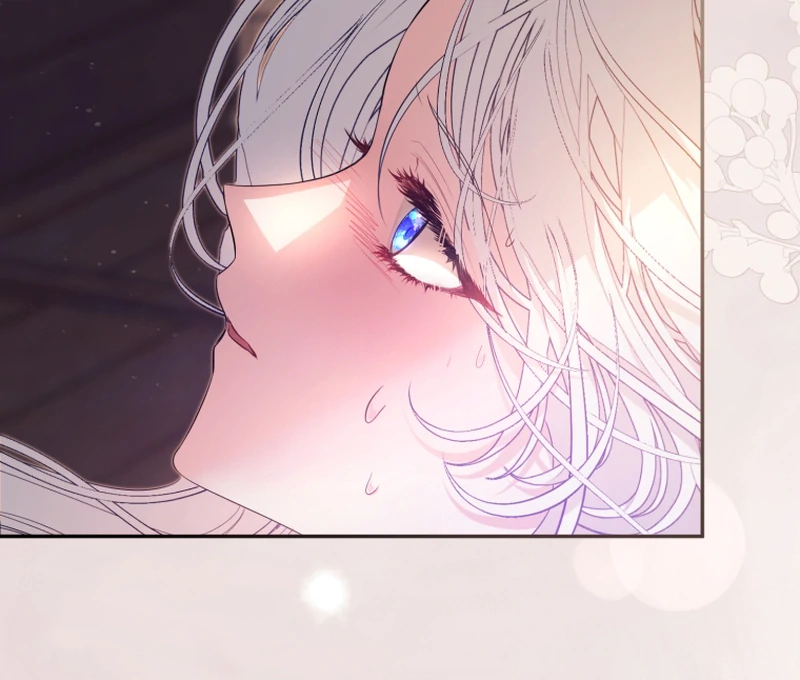ch 16 21