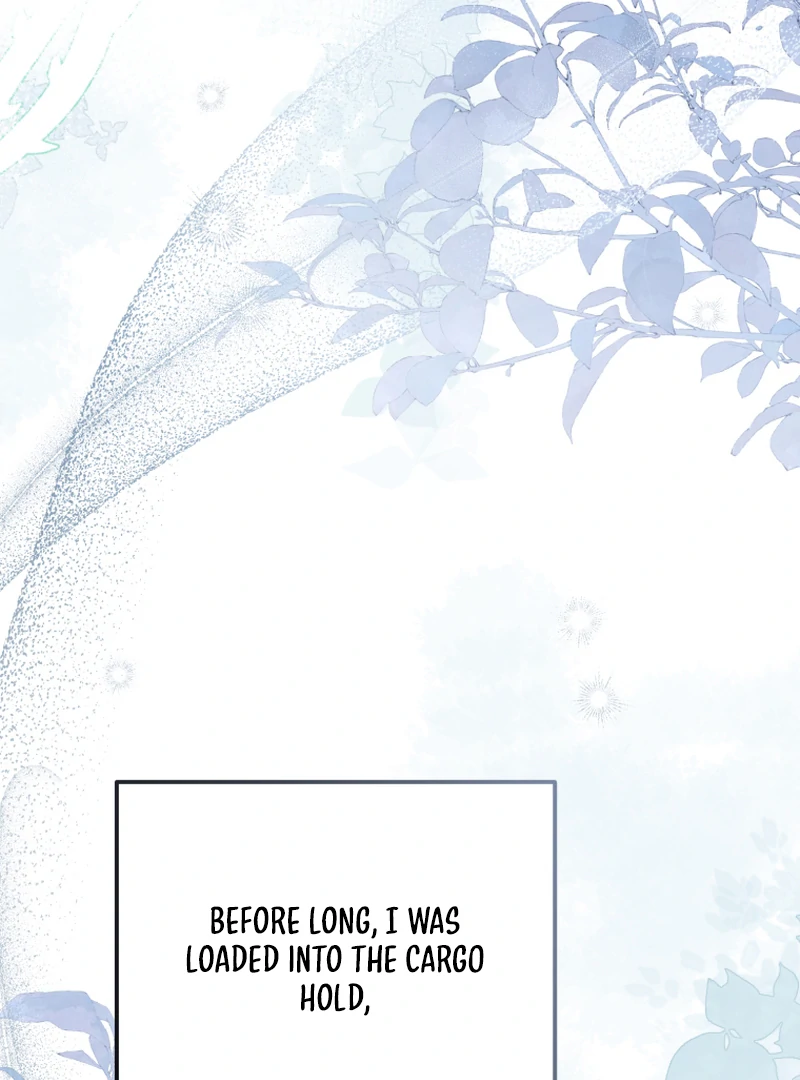 ch 16 3