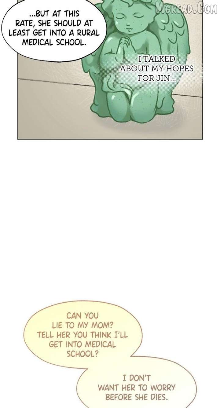 ch 41 17
