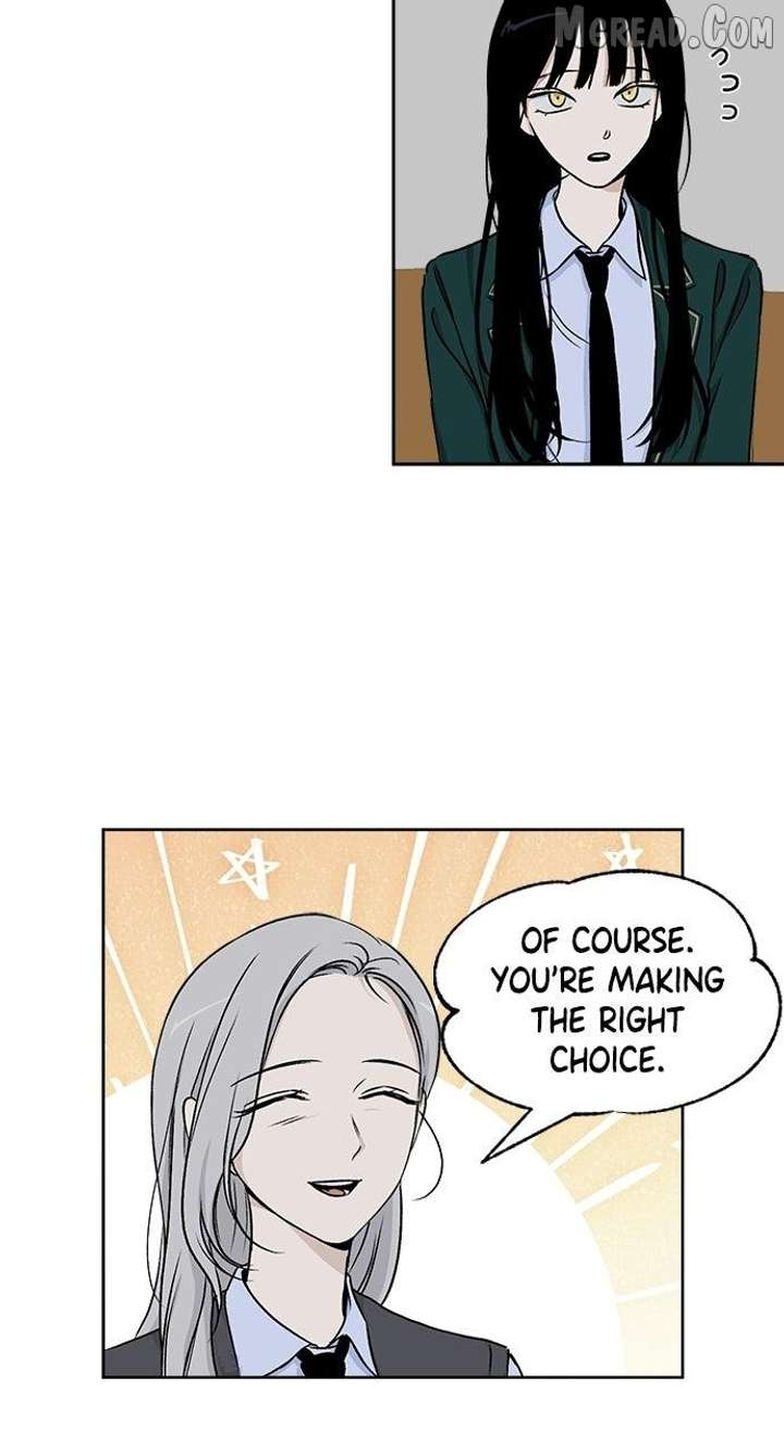 ch 41 41