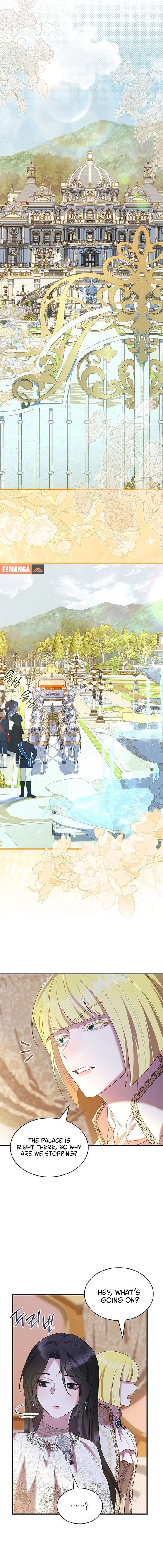 ch 51 8