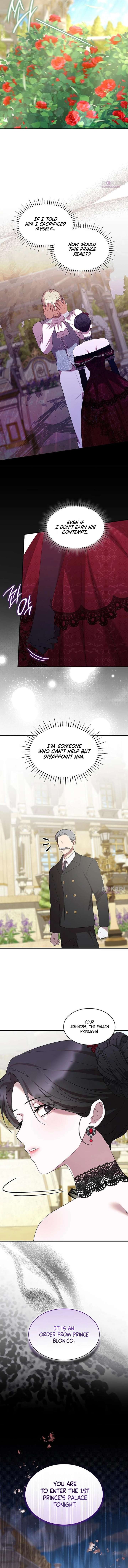 ch 55 15