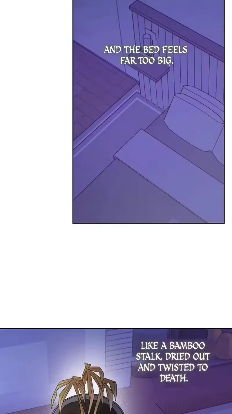 c5e1e87eb211