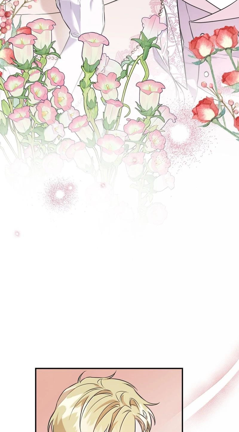 c11311b7b58d