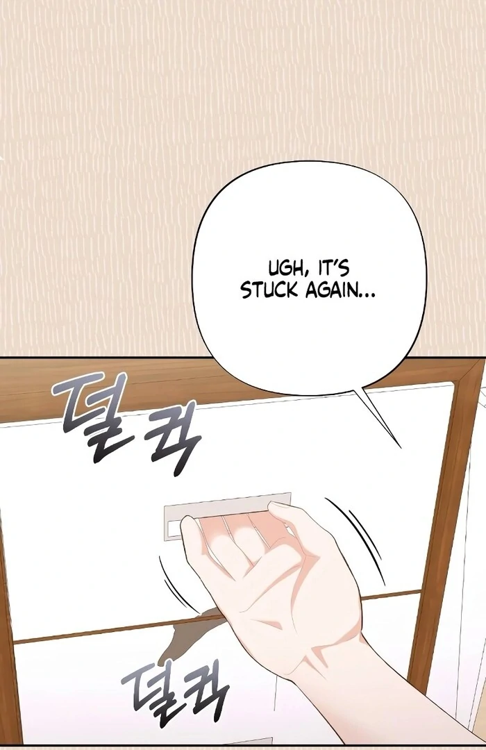 ch 13 81