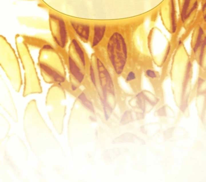 112