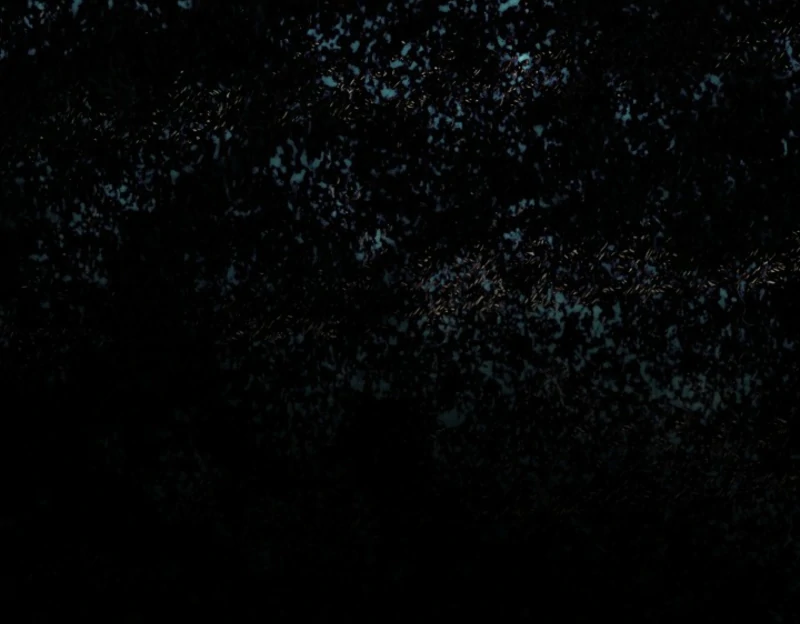 I Hate This Kind Of Reverse Harem Chapter 32 375 029