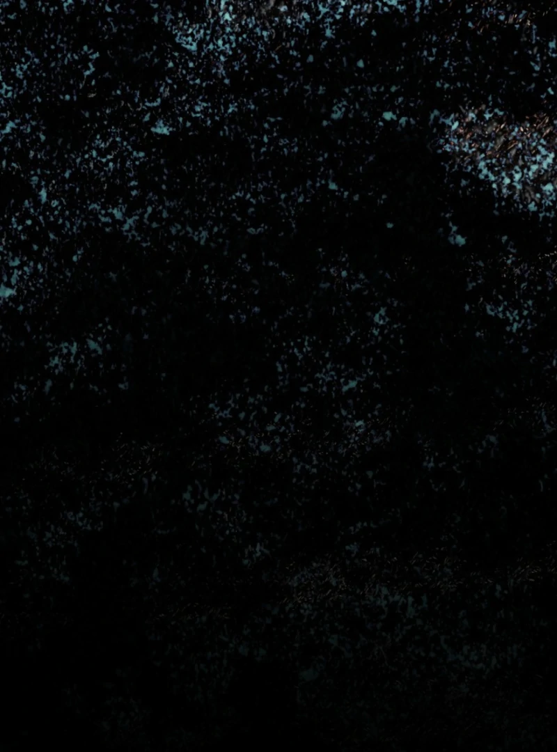 I Hate This Kind Of Reverse Harem Chapter 34 417 032