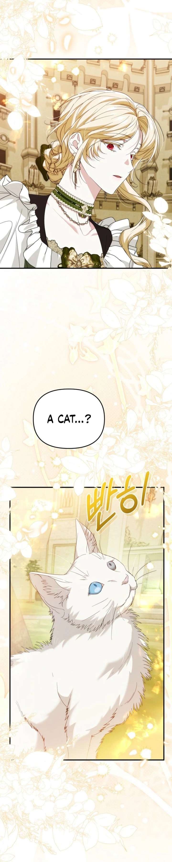 ch 37 17