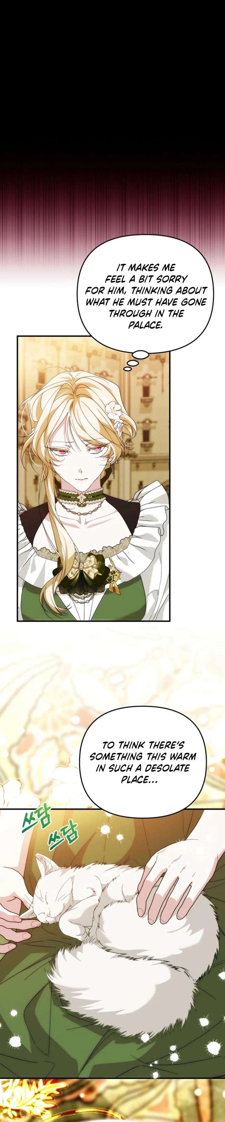 ch 37 31