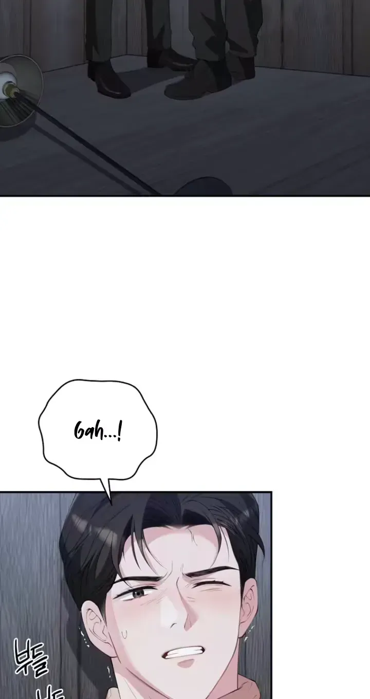 4842cf8854bd