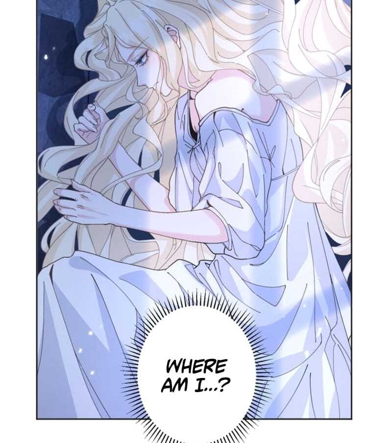 ch 1 116