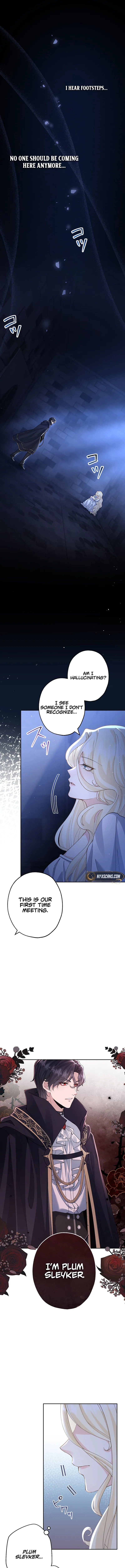 ch 2 2
