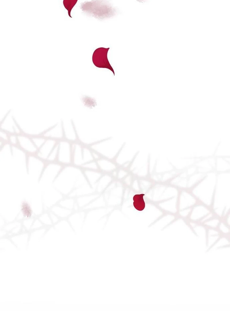 ch 0 7