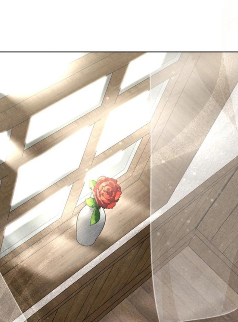 ch 11 81