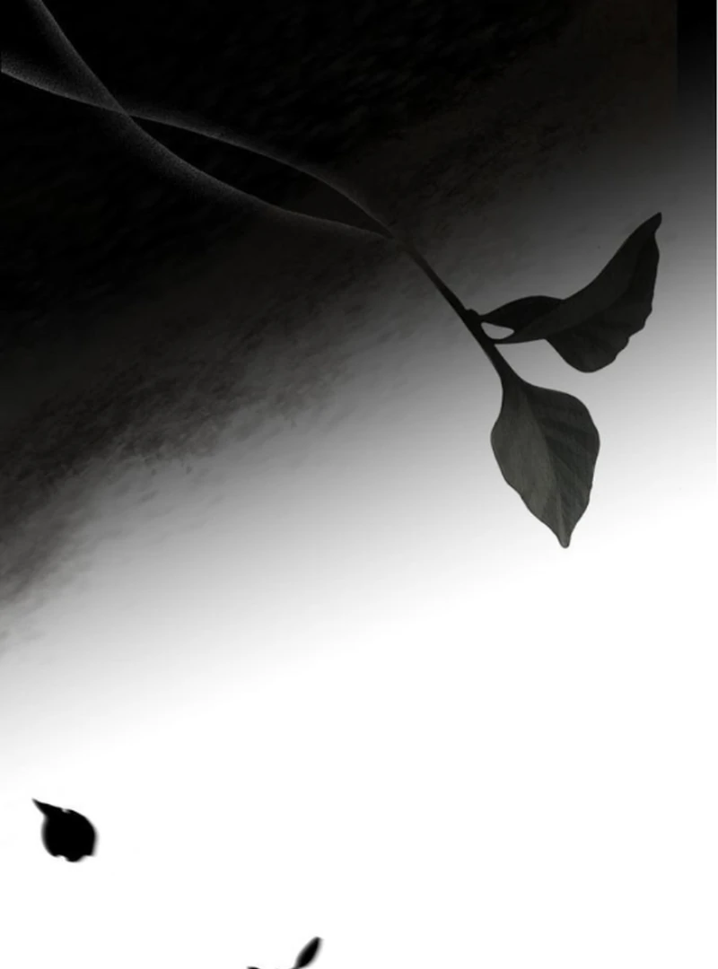 ch 14 113