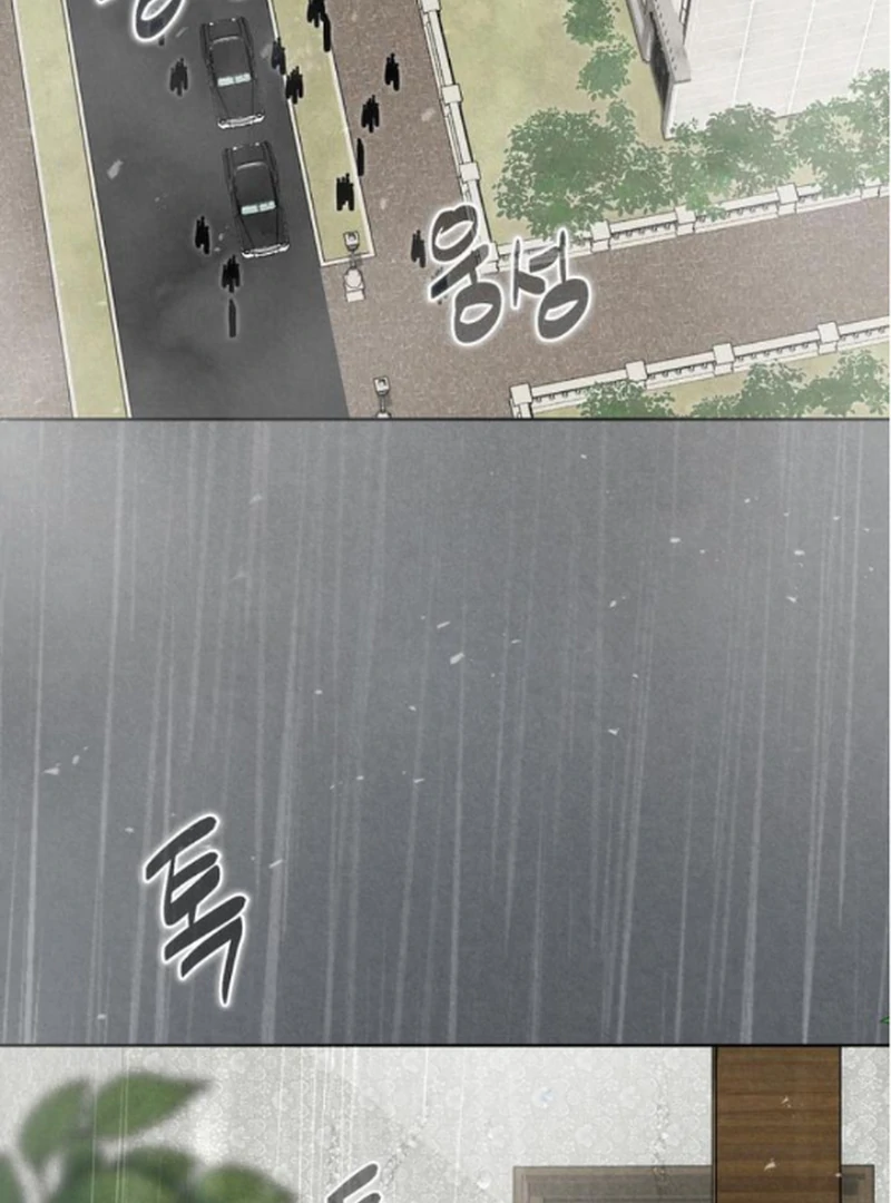ch 16 31