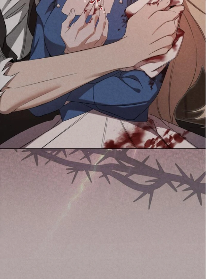 ch 16 8